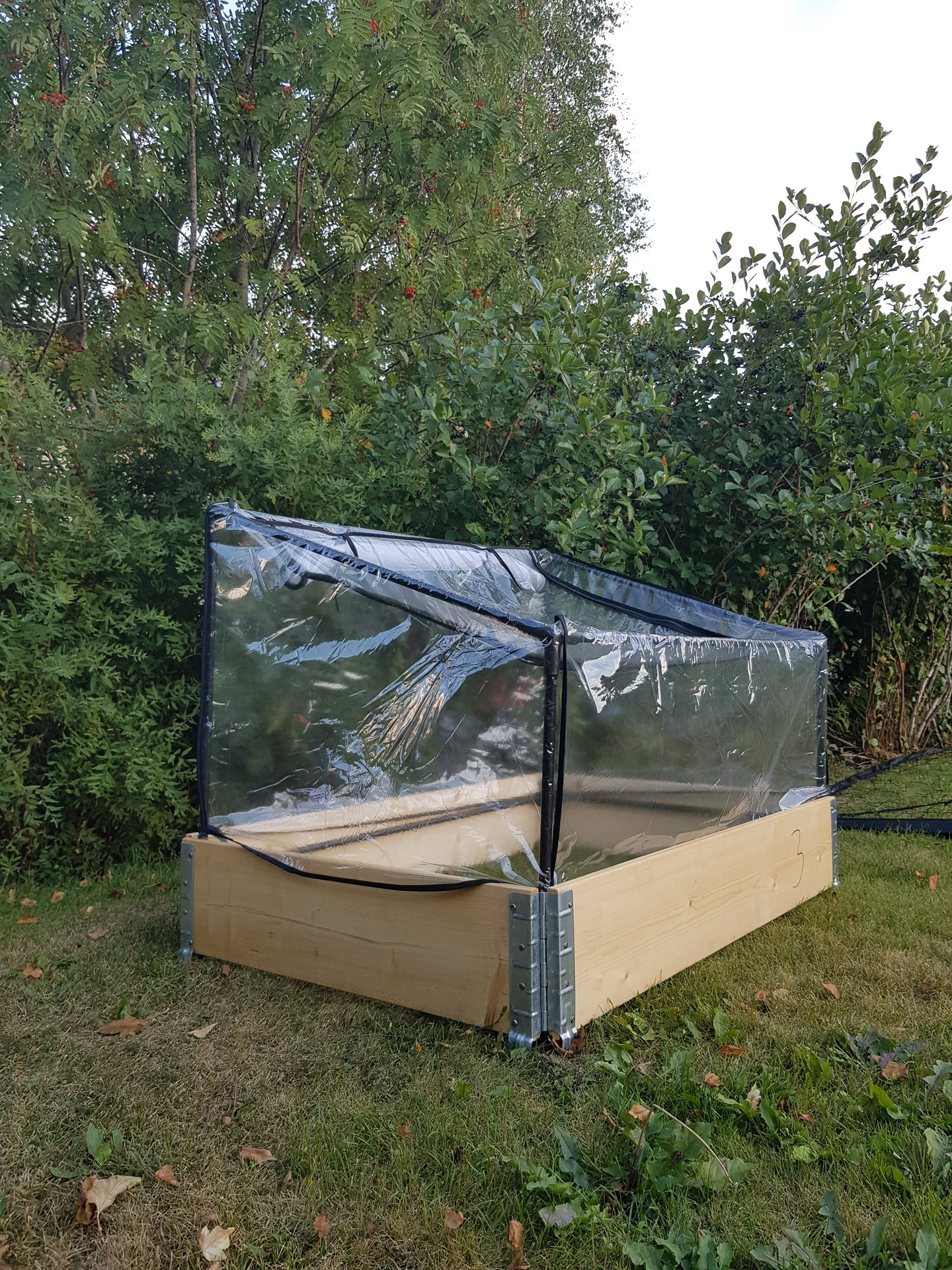 Minikasvihuone Goodiy 75 x 115 cm korkeus 40/70 cm