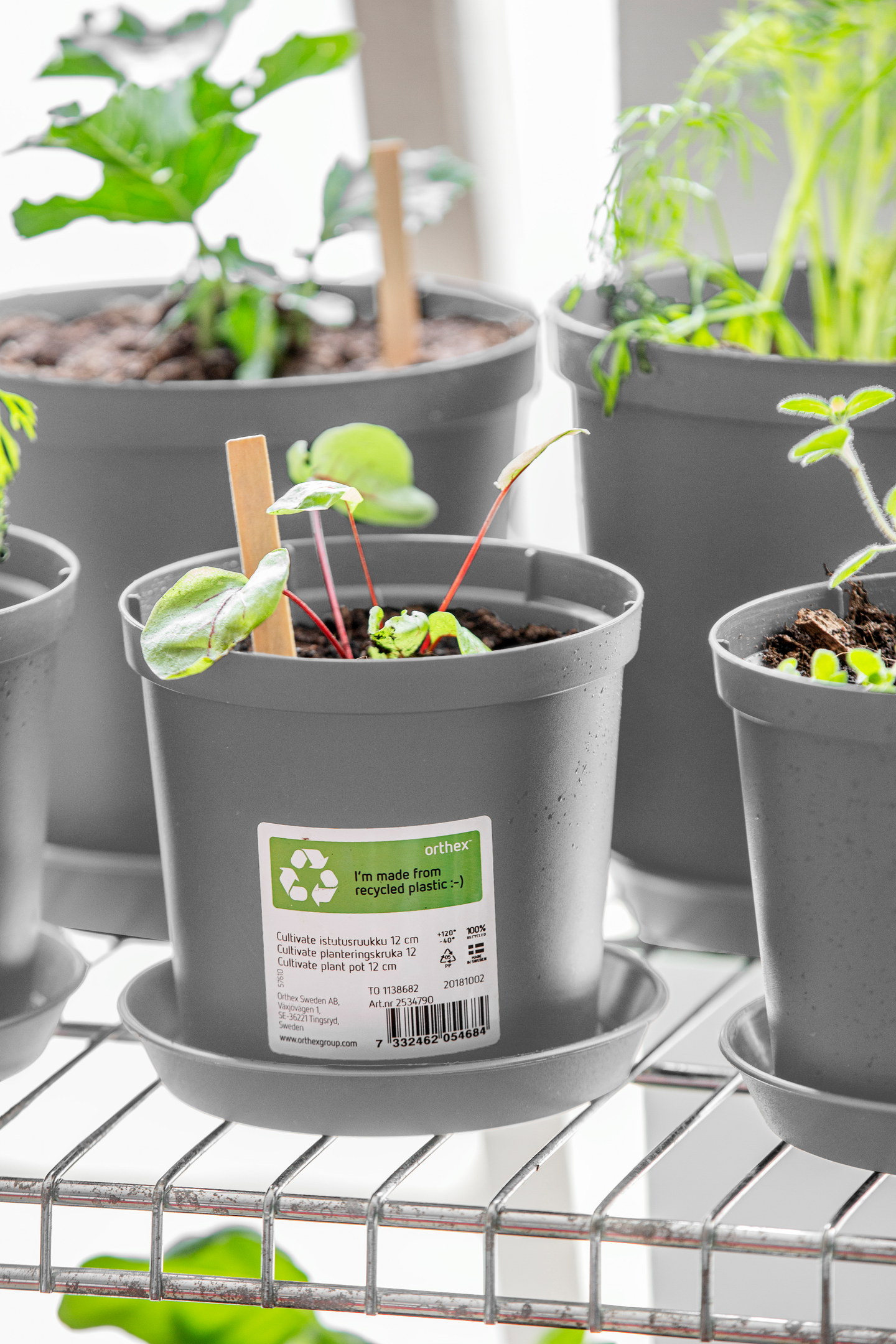 Aluslautanen Orthex Cultivate 18cm harmaa