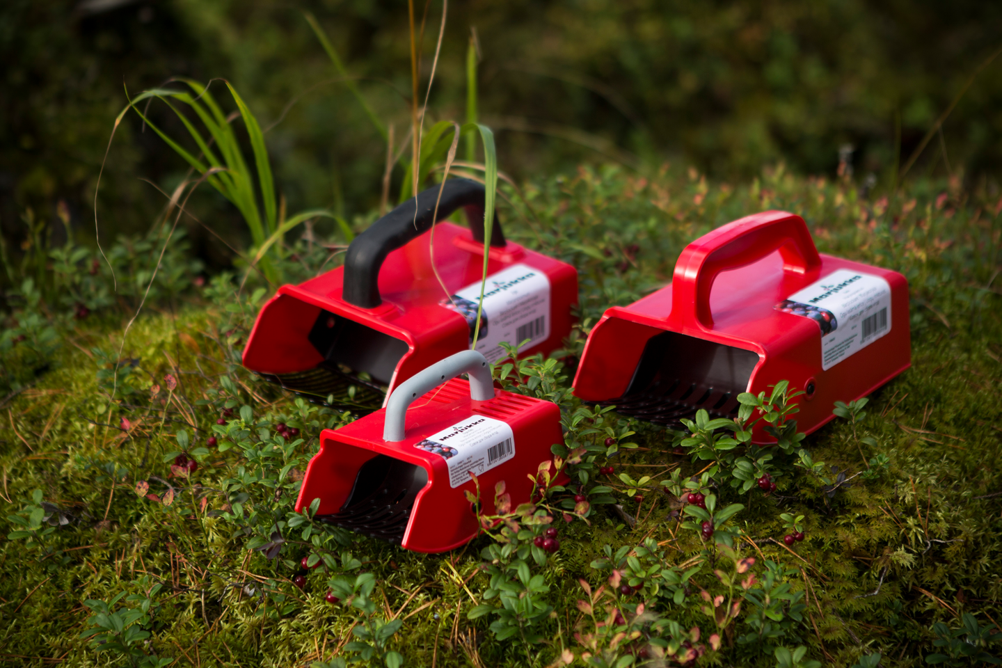 Marjanpoimuri Marjukka ergo kids