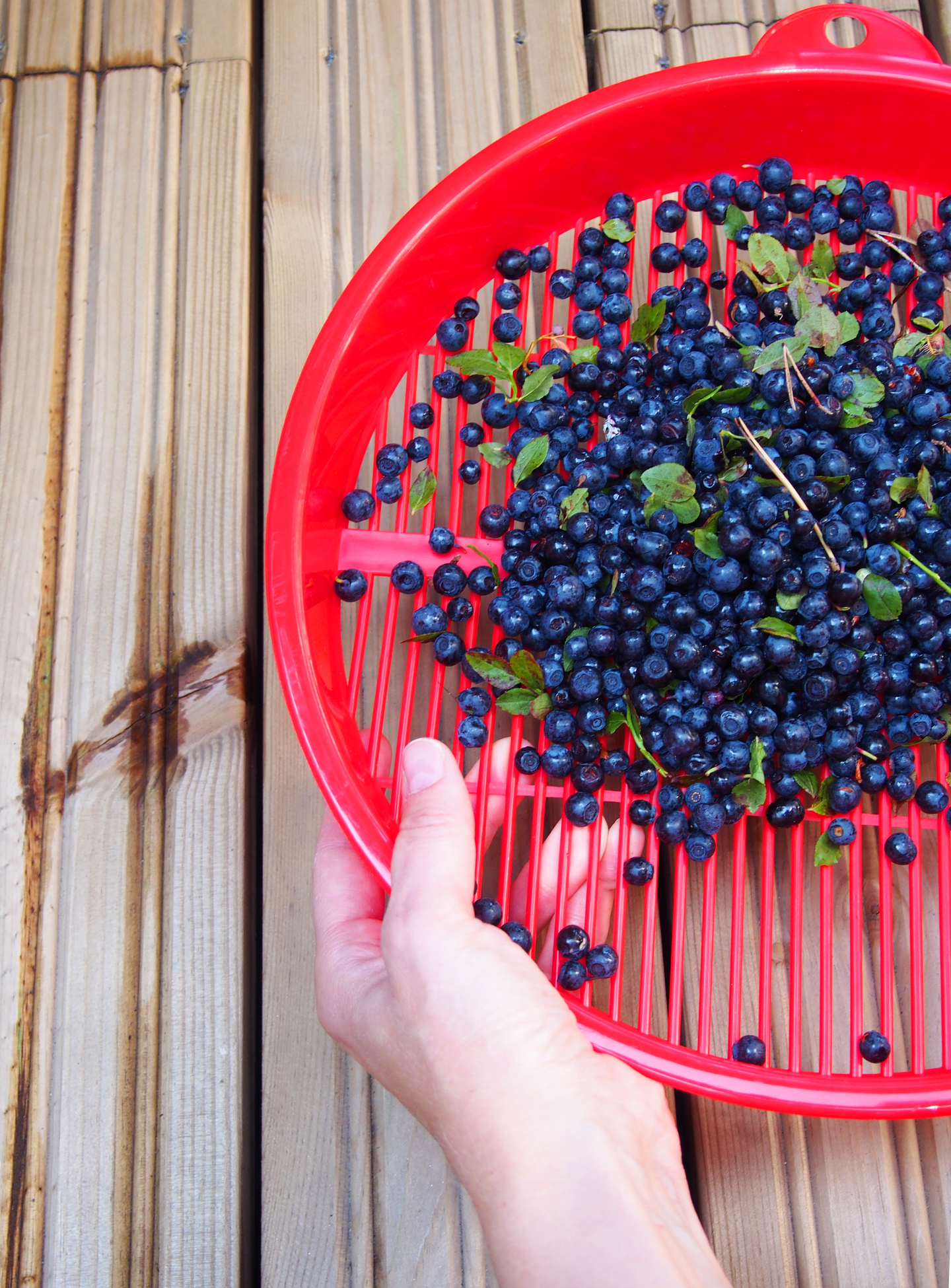 Marjanpuhdistaja Marjukka pyöreä