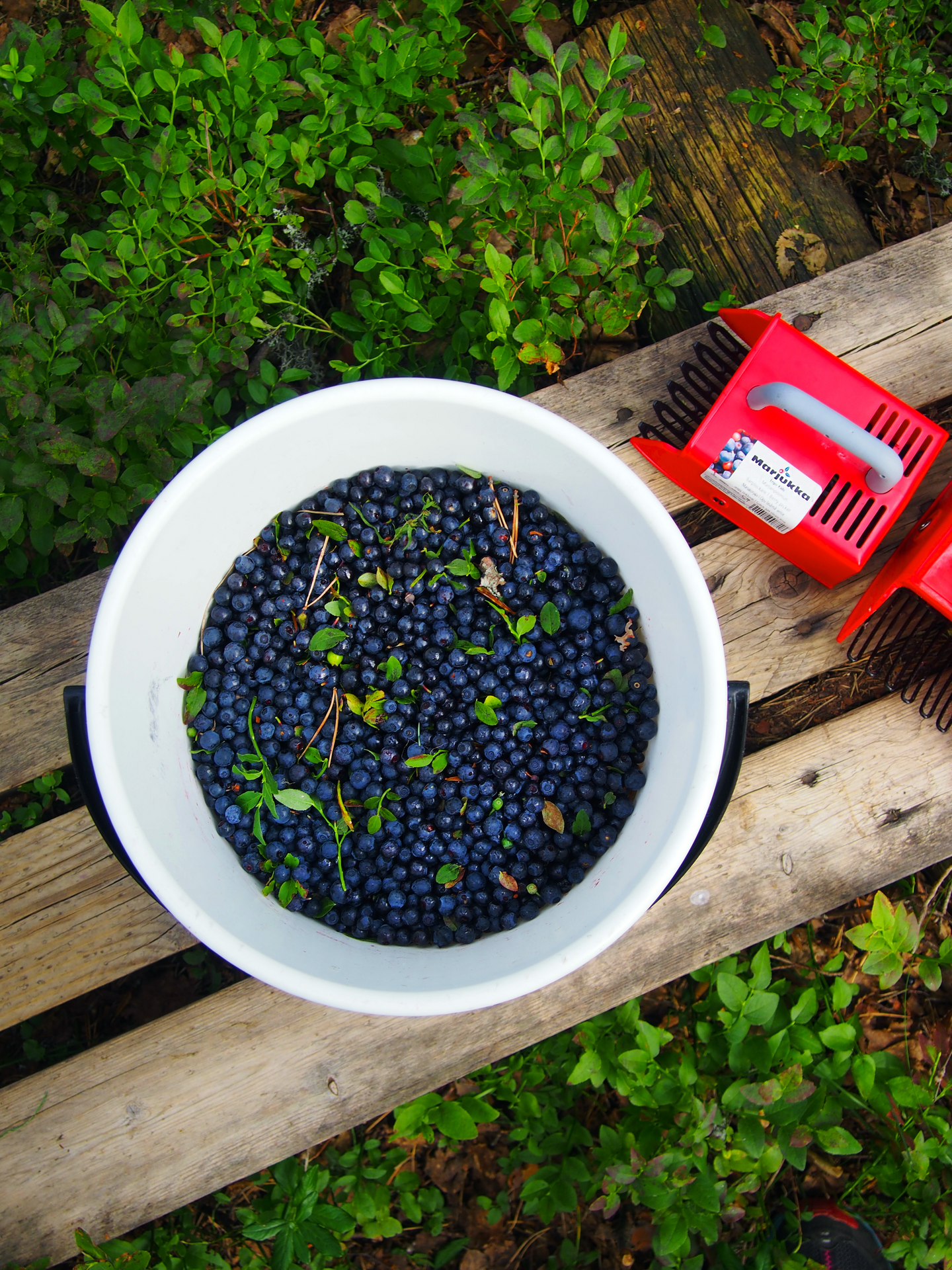 Marjanpoimuri Marjukka ergo kids