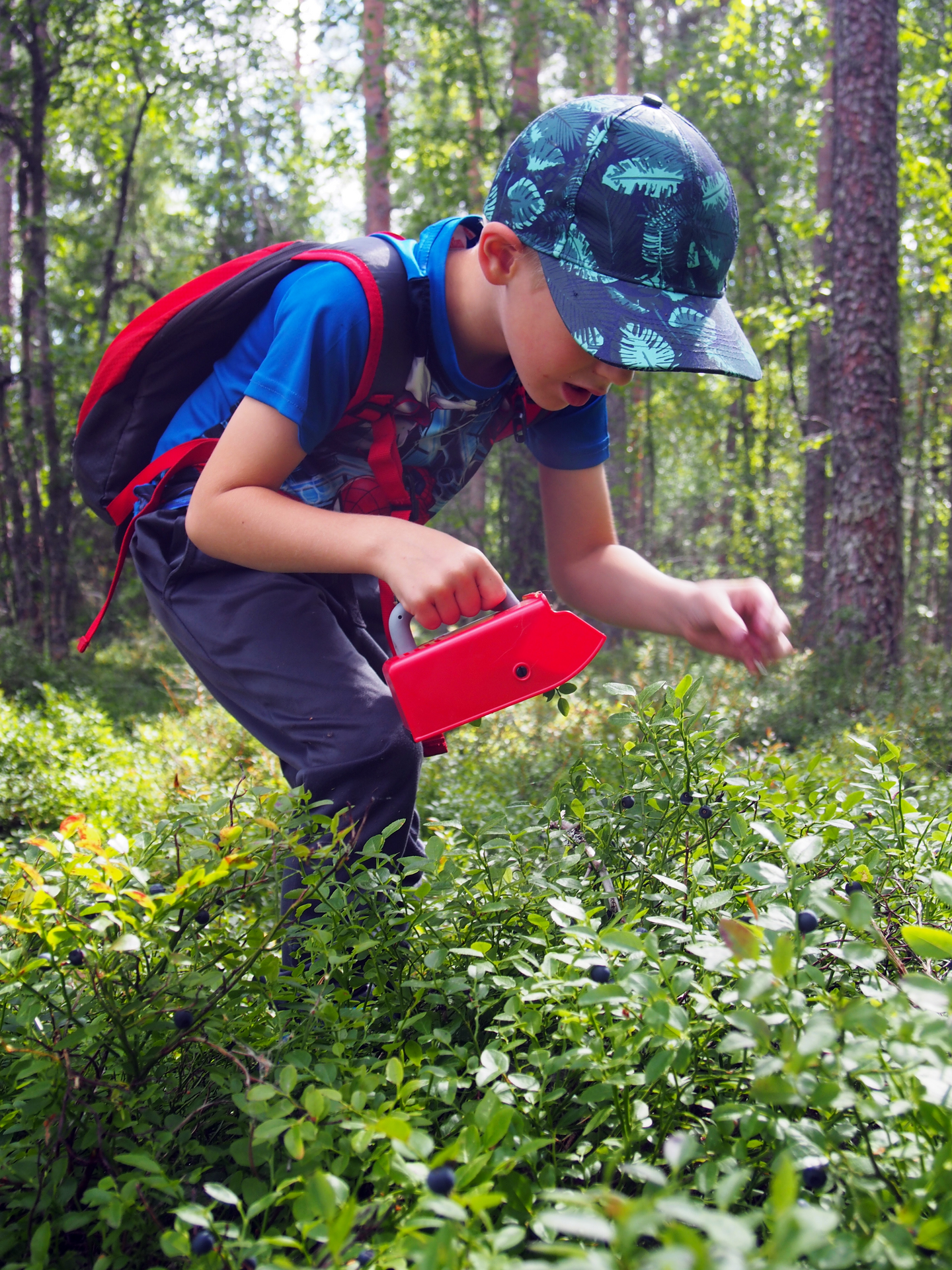 Marjanpoimuri Marjukka ergo kids
