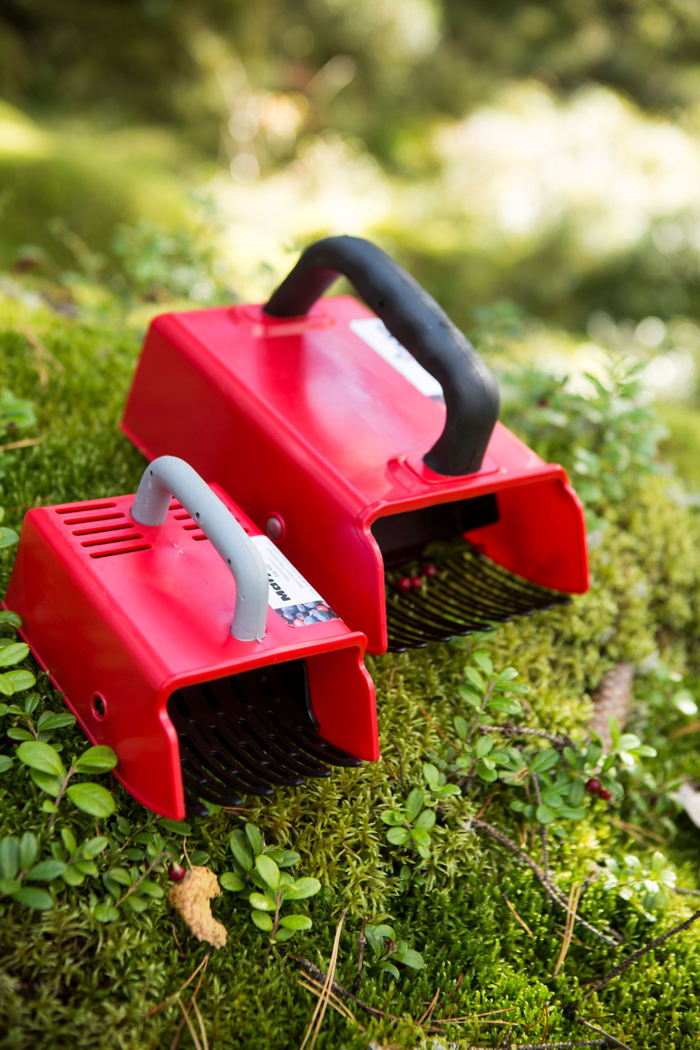 Marjanpoimuri Marjukka ergo kids