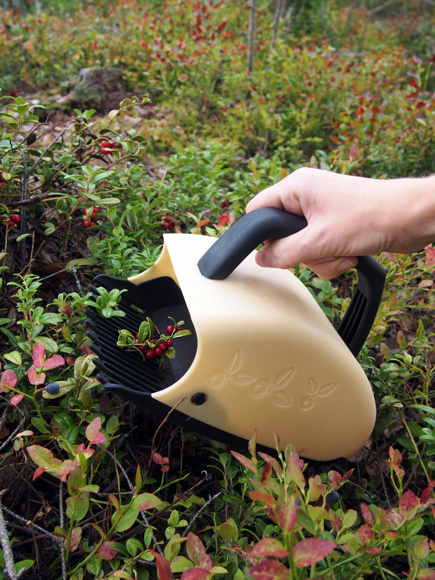 Marjanpoimuri Marjukka natural