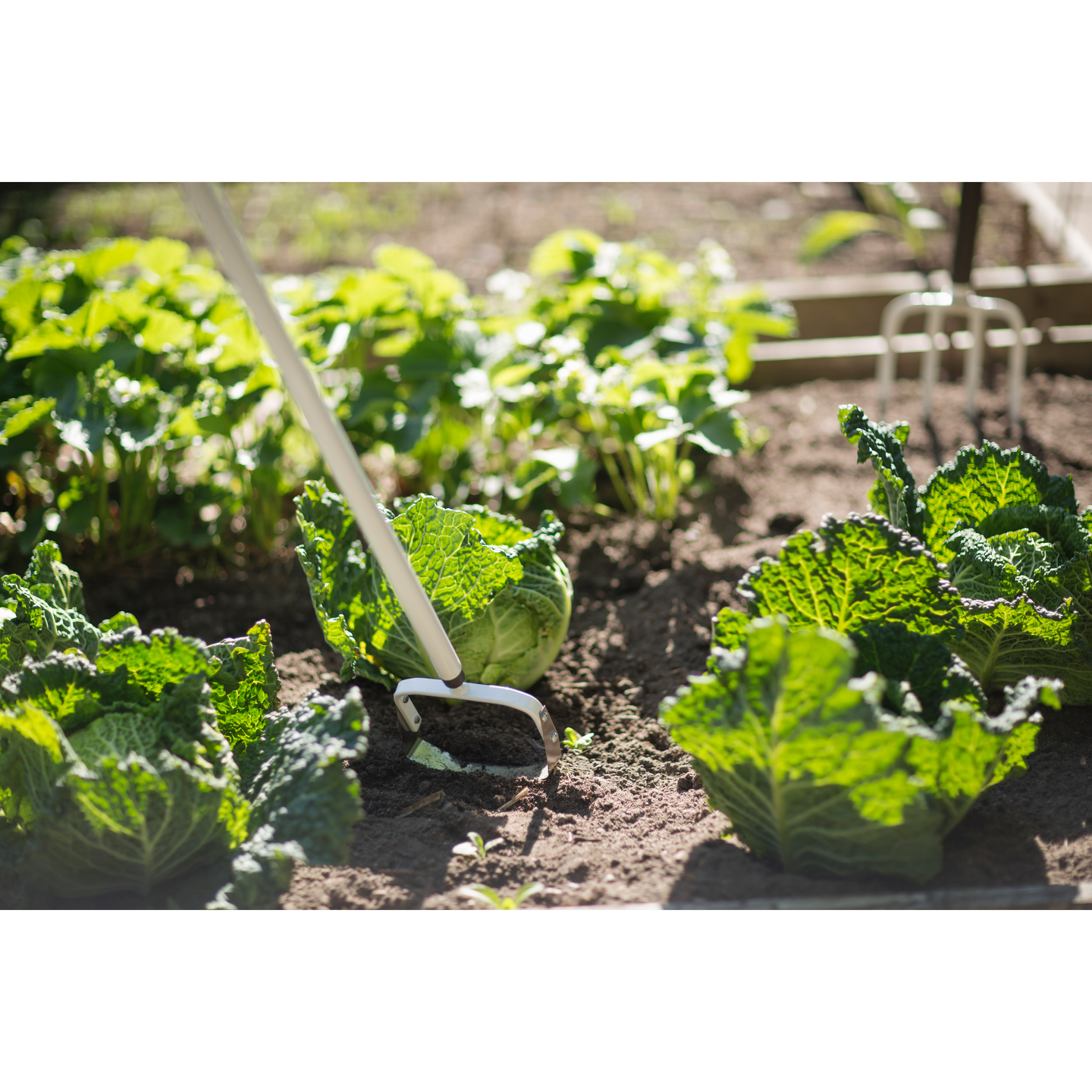 Talikko Fiskars Light 1019603