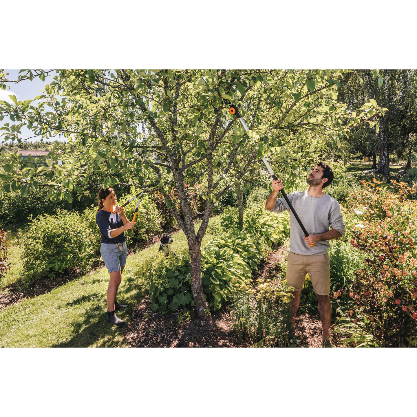 Raivaussakset Fiskars PowerGear X ohileikkaavat S