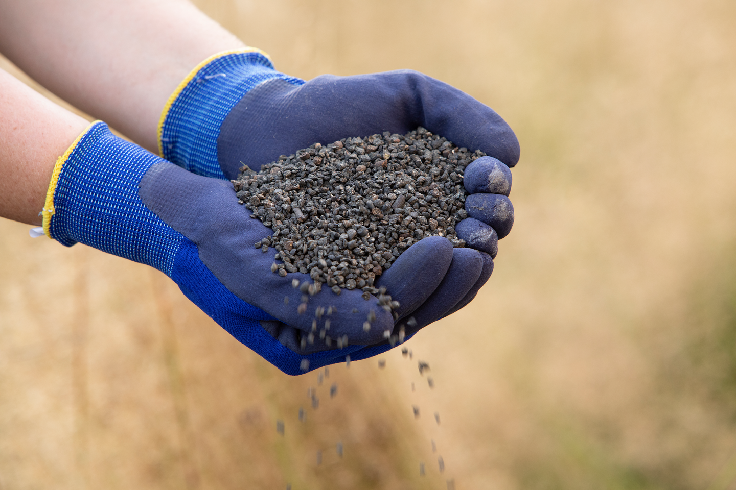 Nurmikon sammalsyöjä Kekkilä Plus+ 20l