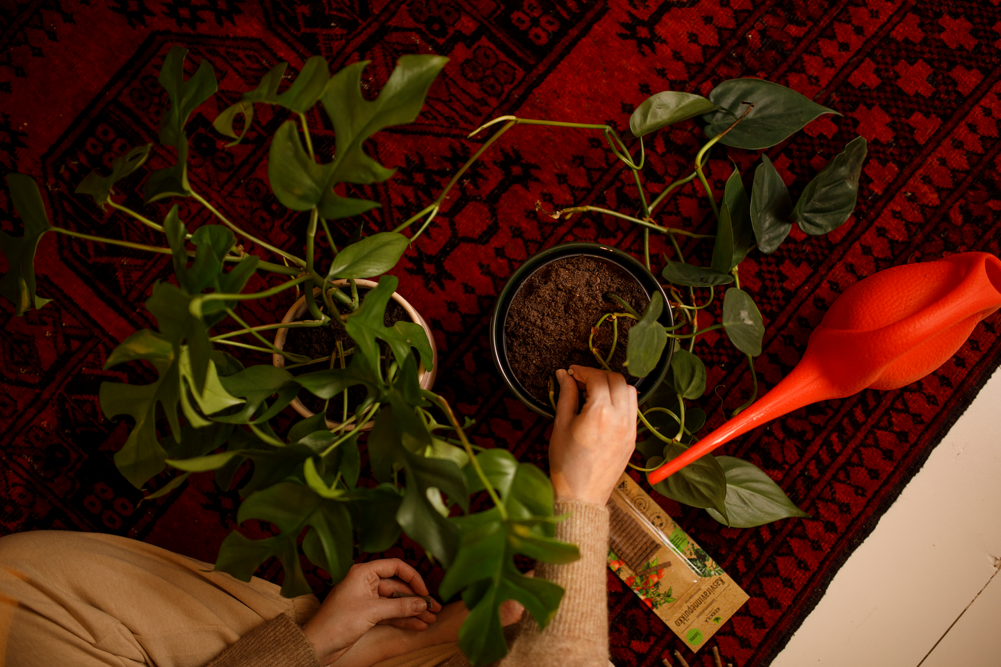 Kasviravinnepuikko Kekkilä 30kpl