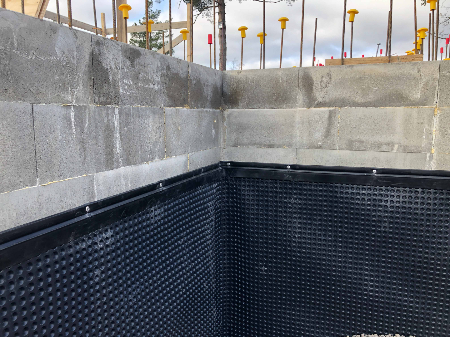 Perusmuurilevy Peto 1x20m 20m²