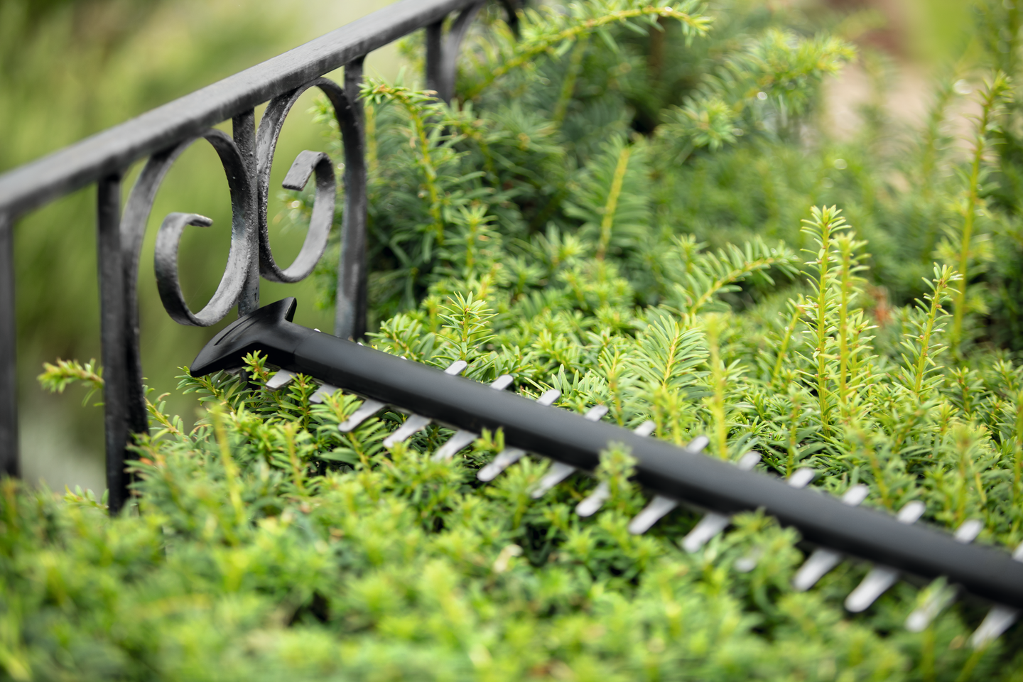 Akkupensasleikkuri Bosch UniversalHedgeCut 18-55 1x2,5Ah