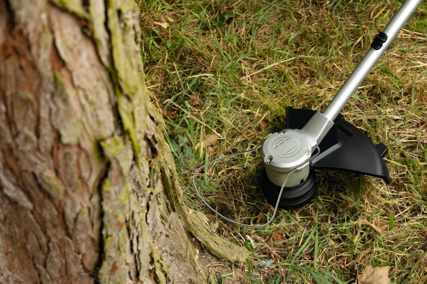 Akkutrimmeri Bosch AdvancedGrassCut 36V-33 1x2,0Ah