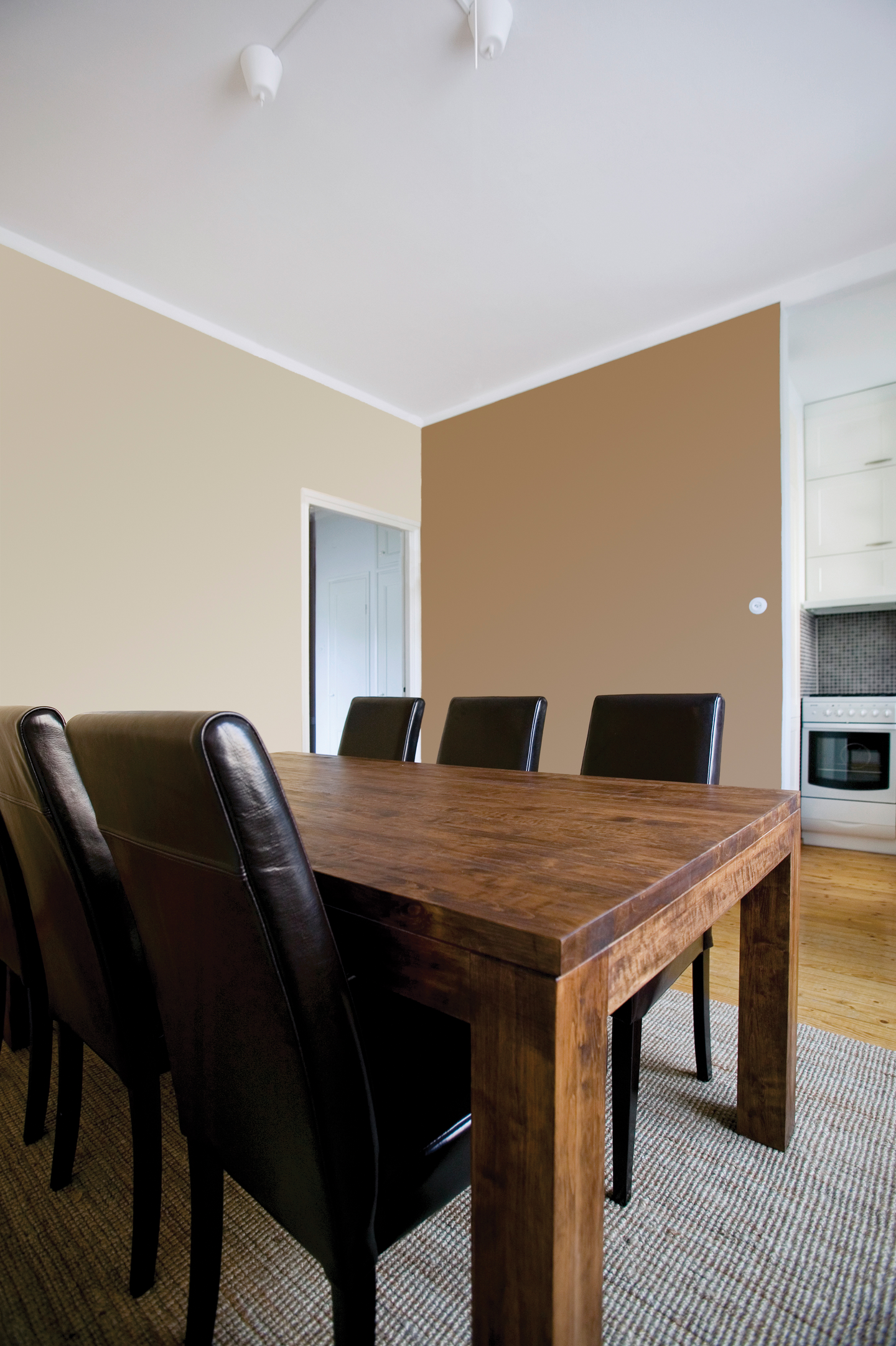 Biora 3 Sisäkatto- ja pohjamaali