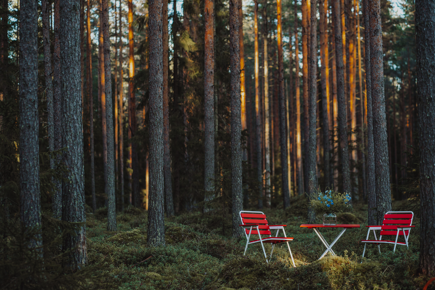 Taittopöytä Varax Retro 75x50cm puna/valkoinen