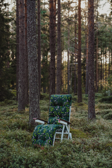 Pehmuste Varax Baden Baden -tuoliin 87B Suomen metsä - K-Rauta