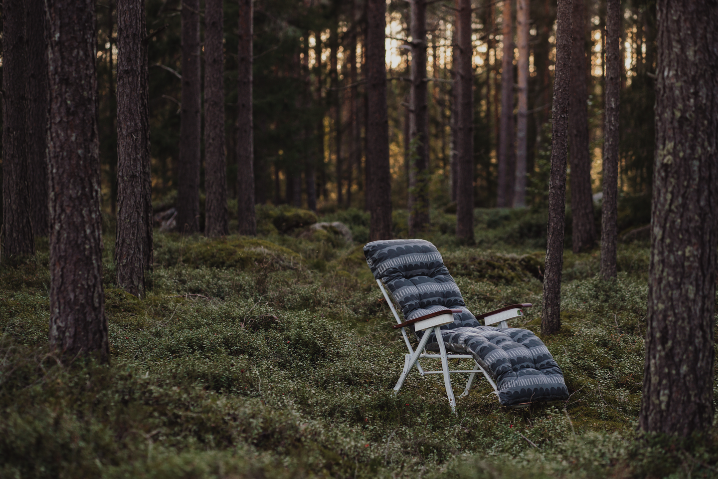 Pehmuste Varax Baden Baden -tuoliin 83B Stormskär