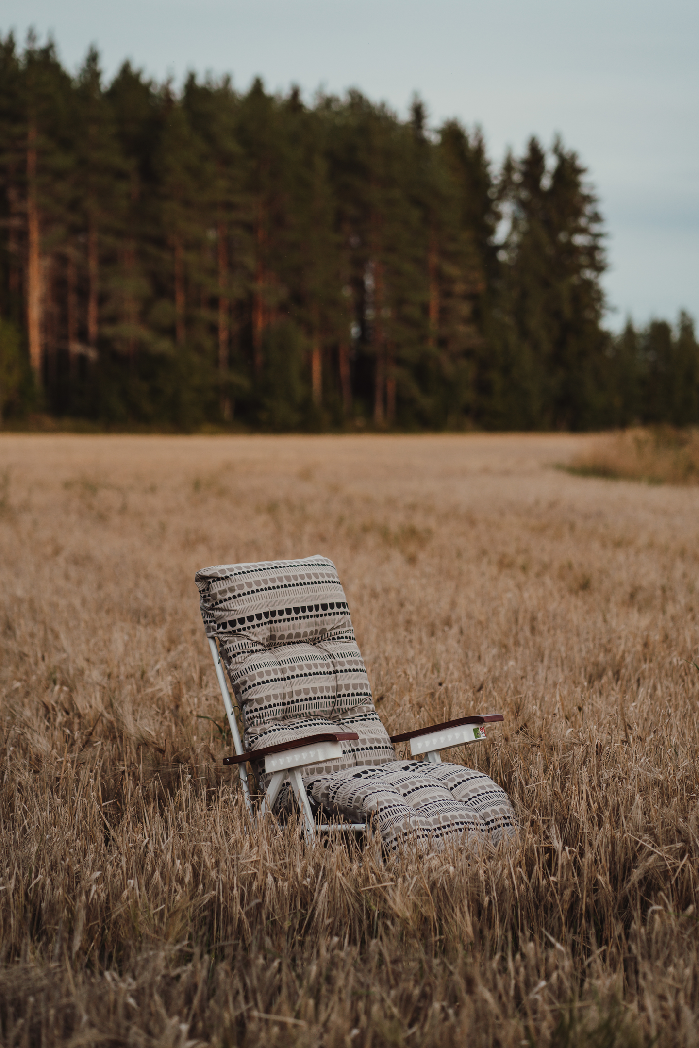 Pehmuste Varax Baden Baden -tuoliin 81B Maisema