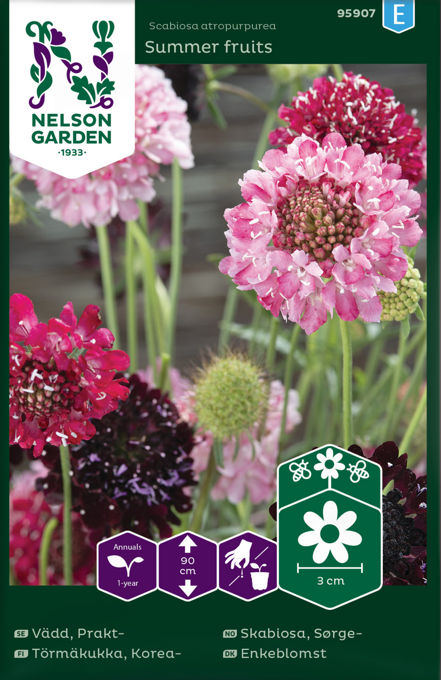 Koreatörmäkukka siemen