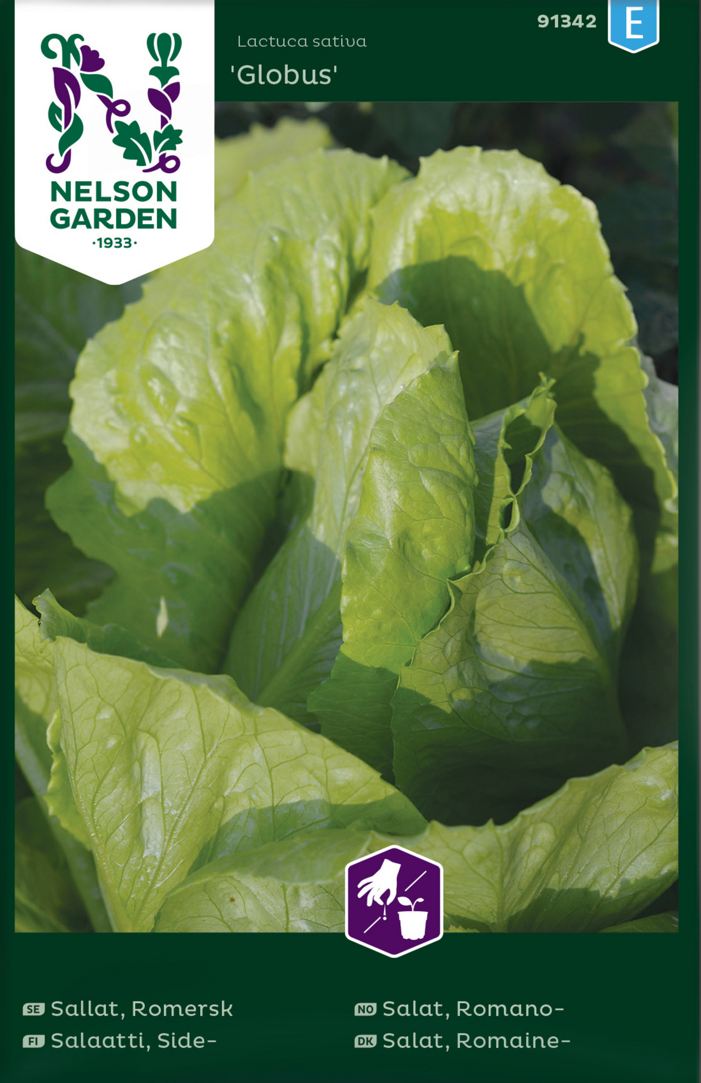 Sidesalaatti siemen Globus