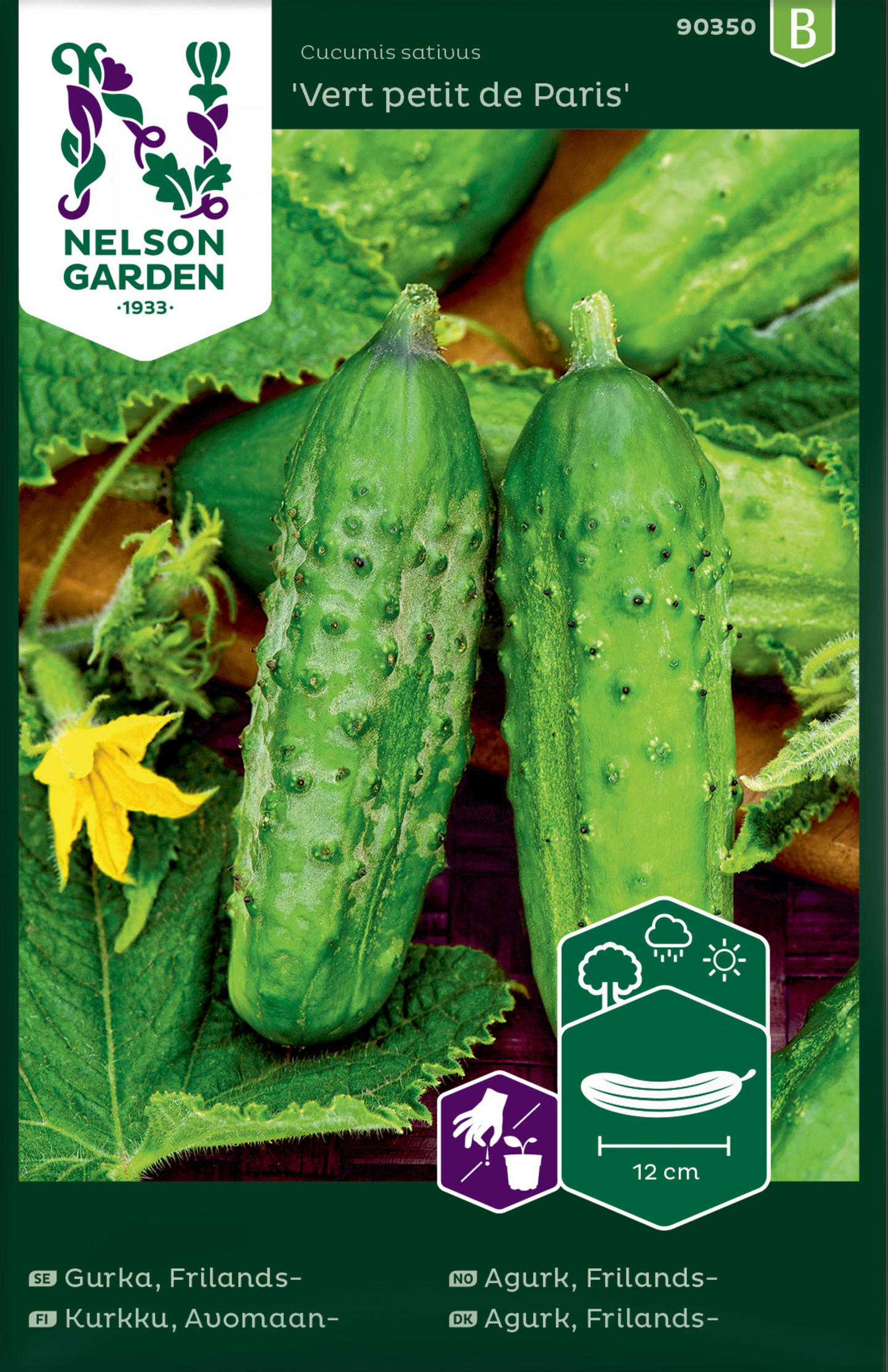 Avomaankurkku siemen Nelson Garden Vert Petit de Paris