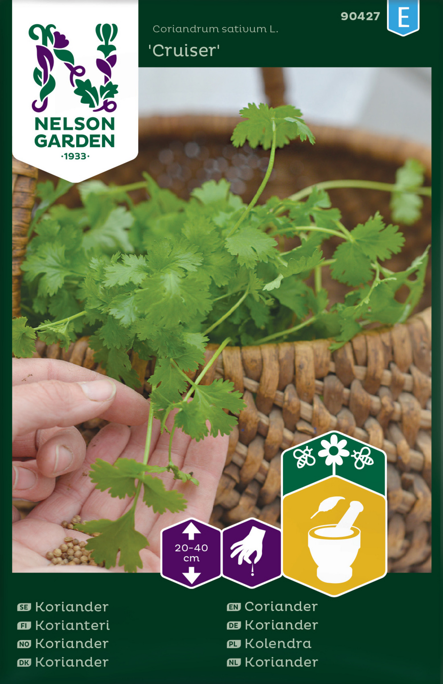 Korianteri siemen Cruiser