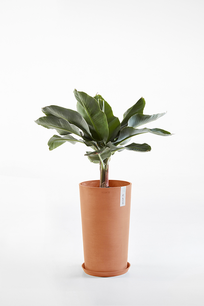 Ruukku Ecopots Amsterdam keskikorkea 66cm terracotta