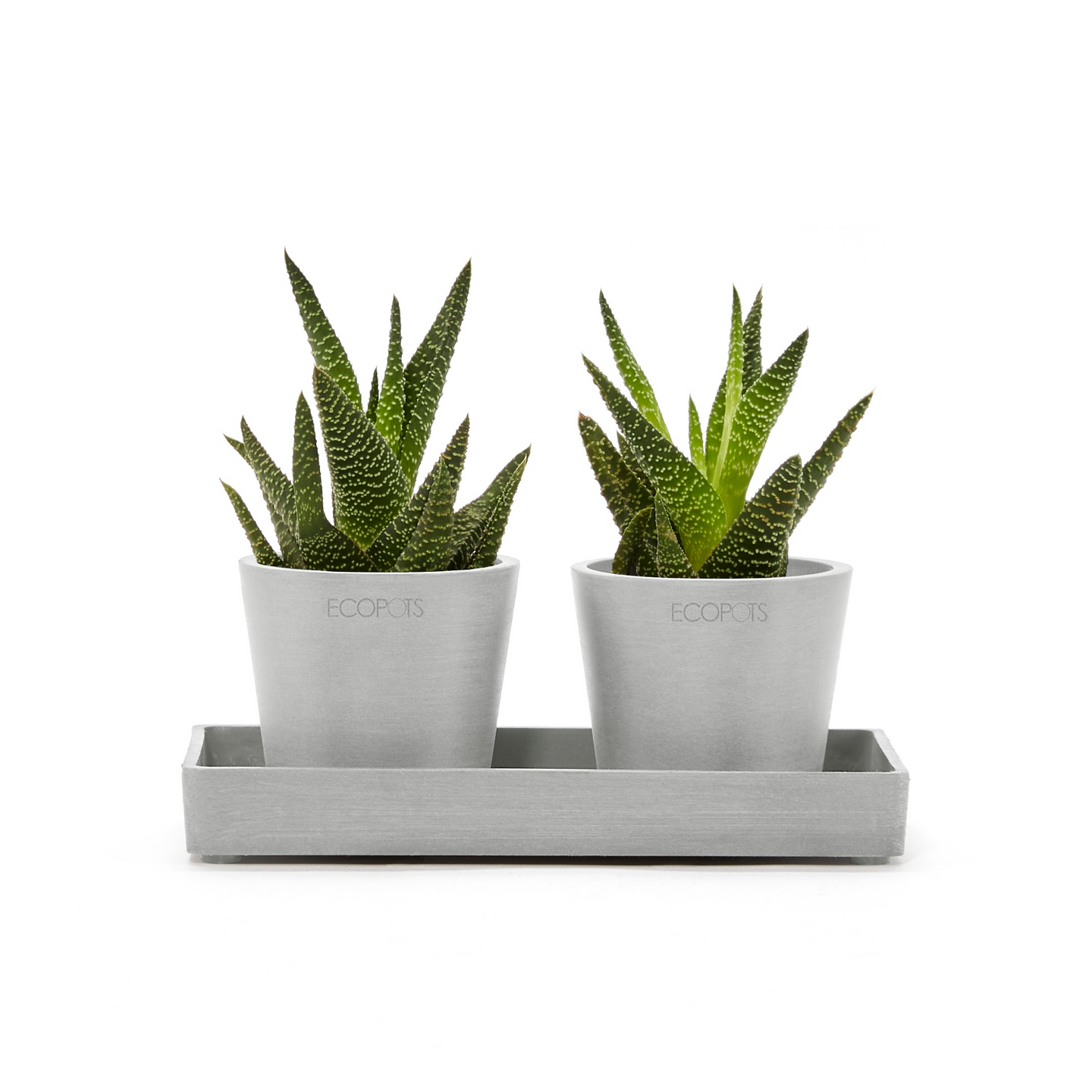 Esillepanotarjotin Ecopots 20cm valkoharmaa