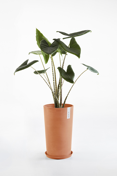 Ruukku Ecopots Amsterdam keskikorkea 50cm terracotta