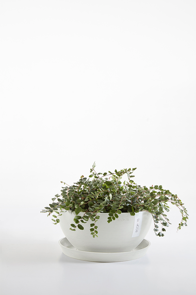 Ruukku Ecopots Brysseli 25cm valkoharmaa