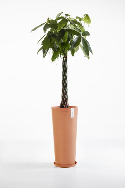 Ruukku Ecopots Amsterdam korkea 72,5cm terracotta