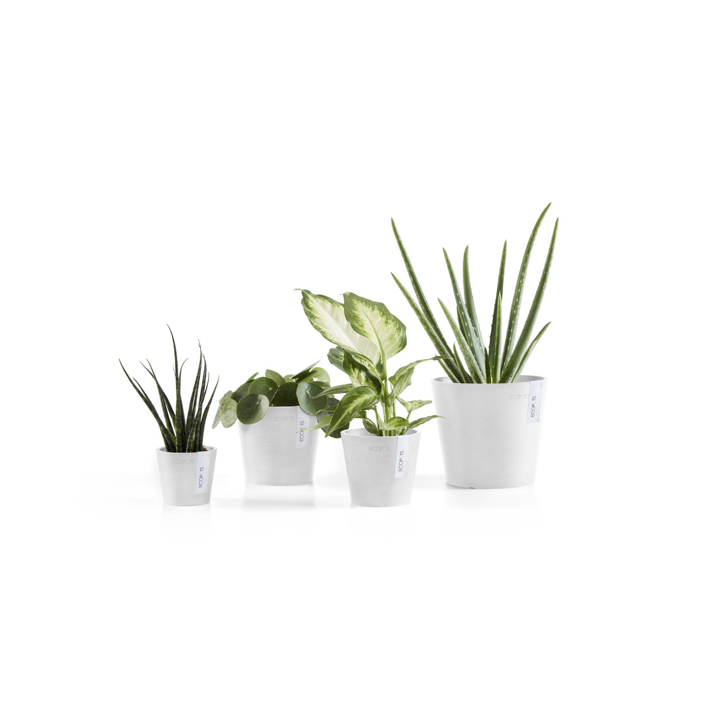 Ruukku Ecopots Amsterdam mini 8cm valkoinen