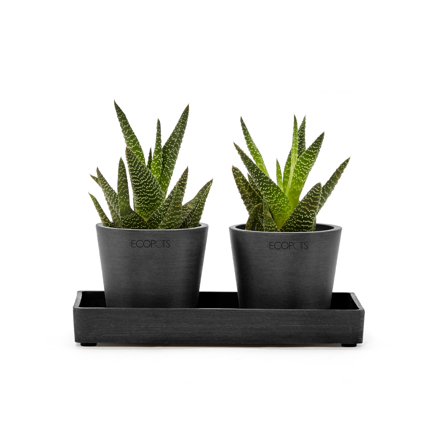 Esillepanotarjotin Ecopots 20cm tummanharmaa