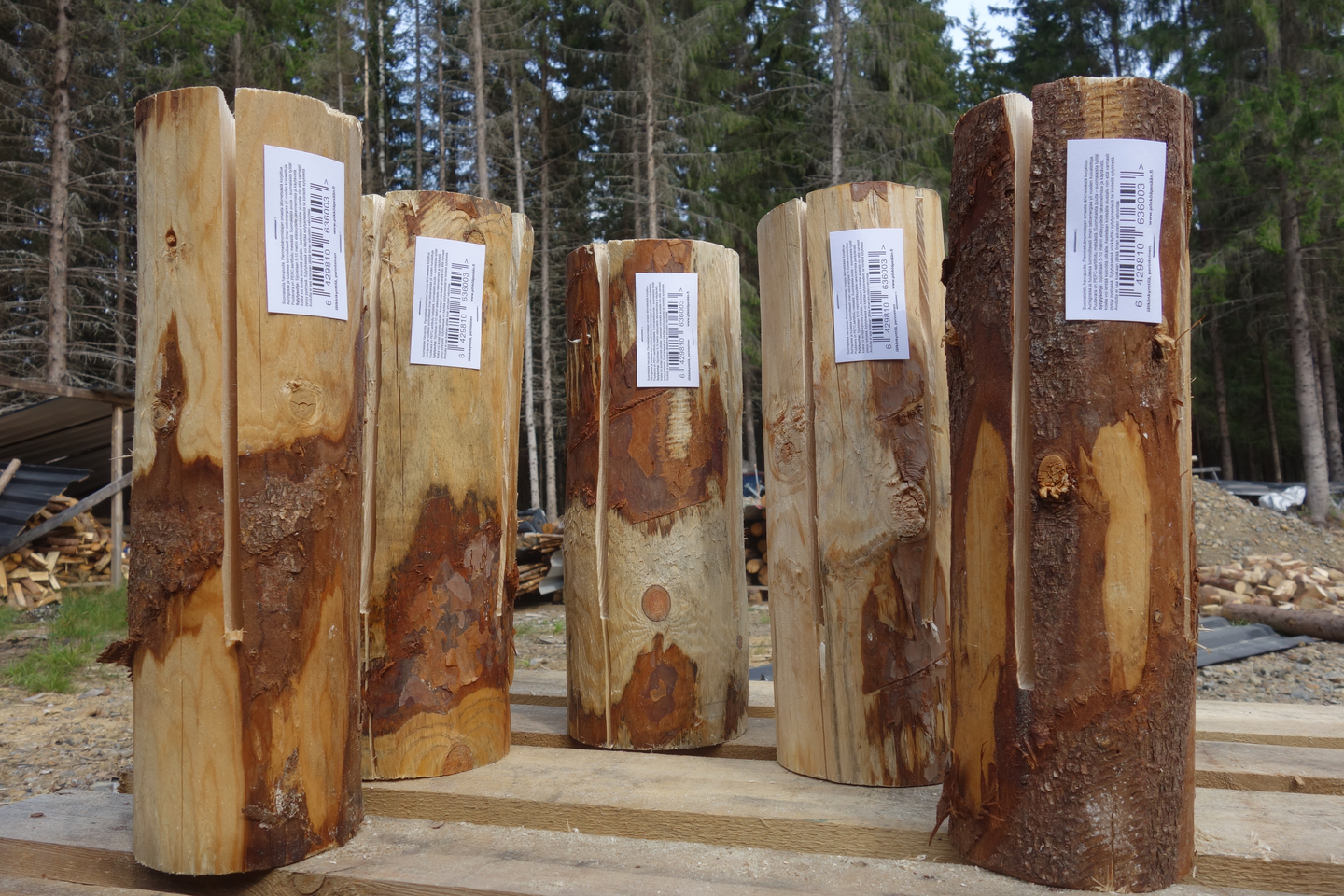 Jätkänkynttilä keskikoko halkaisija 12-15 cm