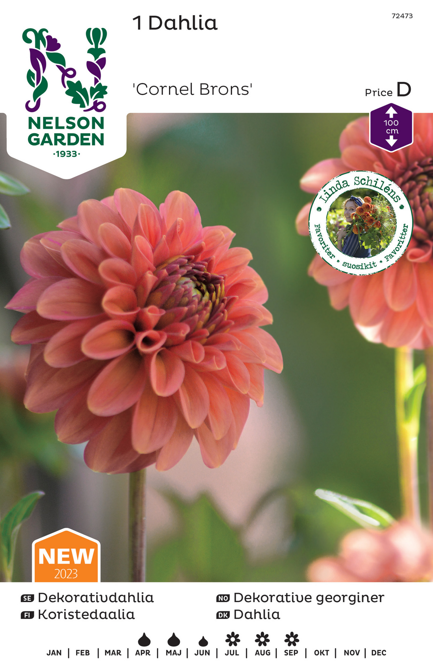 Pallodaalia sipuli Cornel bronze