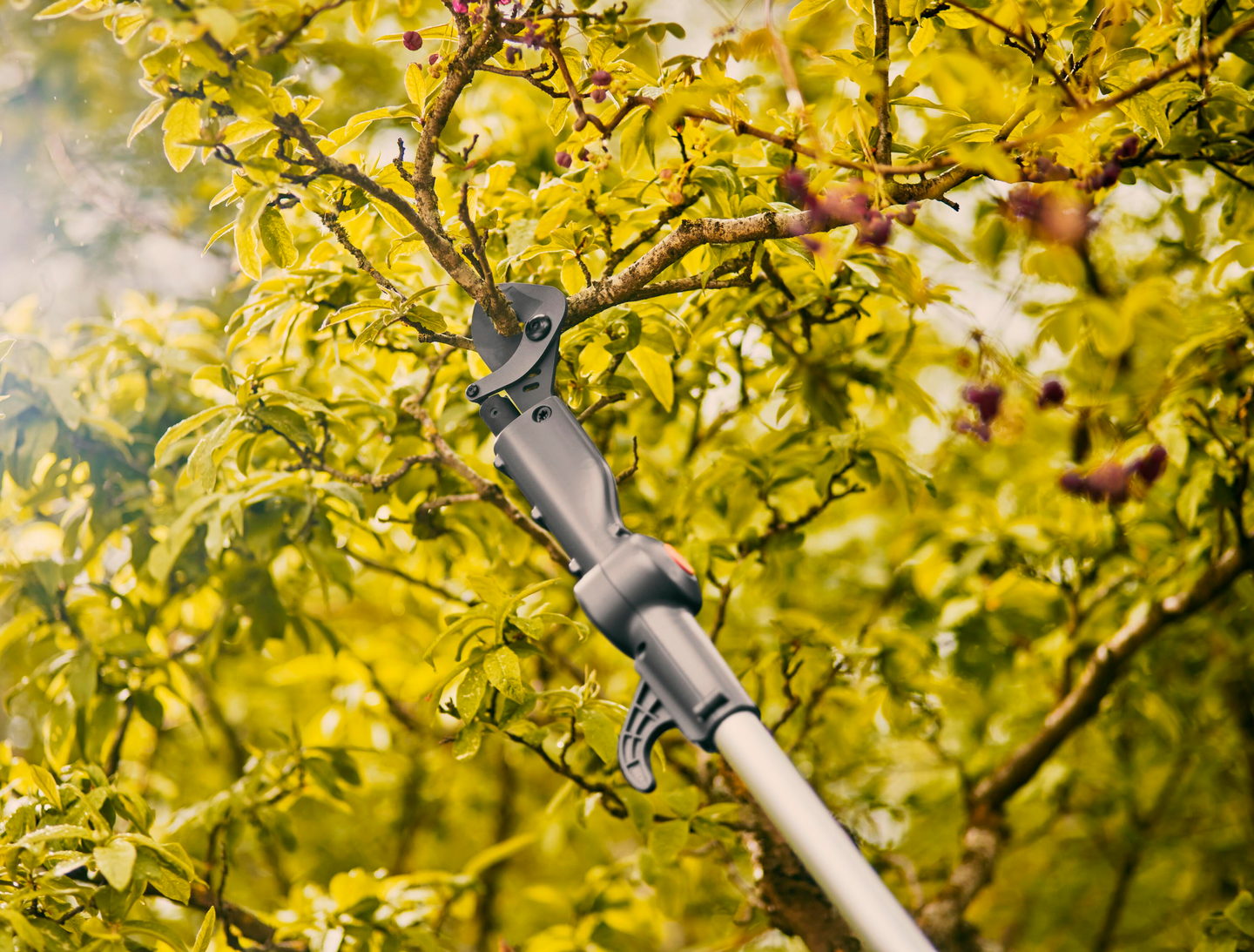 Akkuoksaleikkuri GARDENA teleskooppi HighCut 360/18V P4A Solo