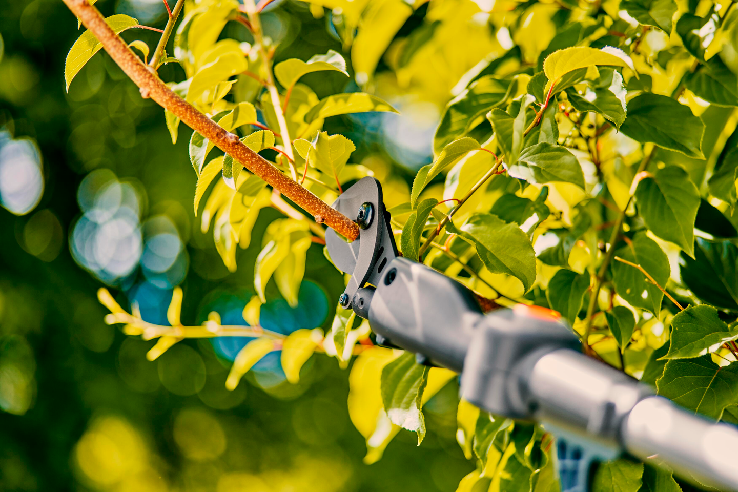 Akkuoksaleikkuri GARDENA teleskooppi HighCut 250/18V P4A Solo