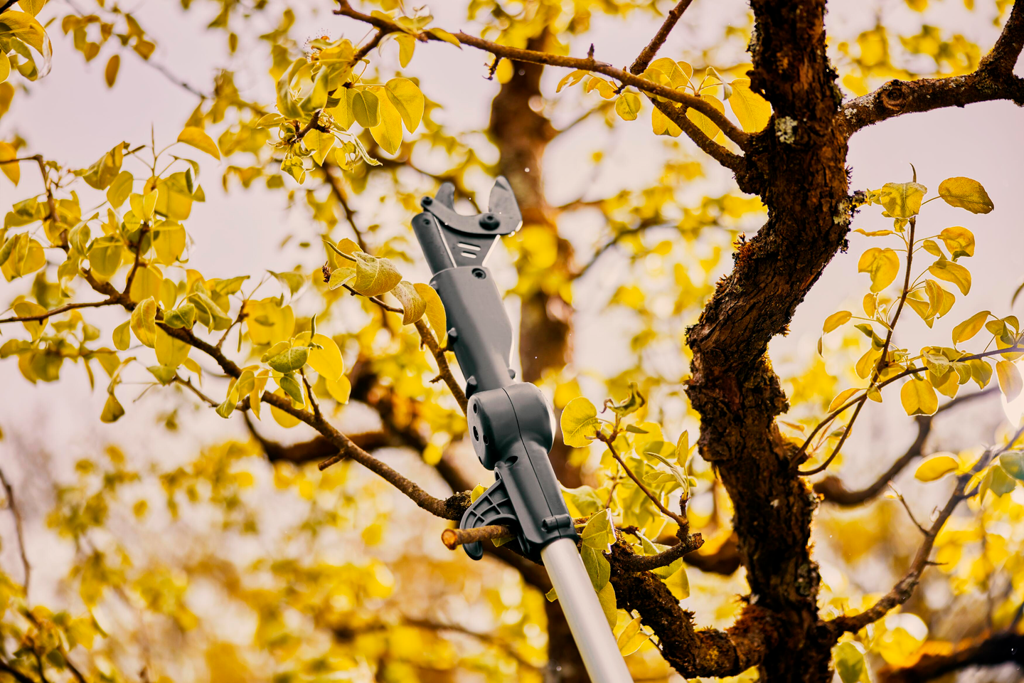 Akkuoksaleikkuri GARDENA teleskooppi HighCut 360/18V P4A Solo