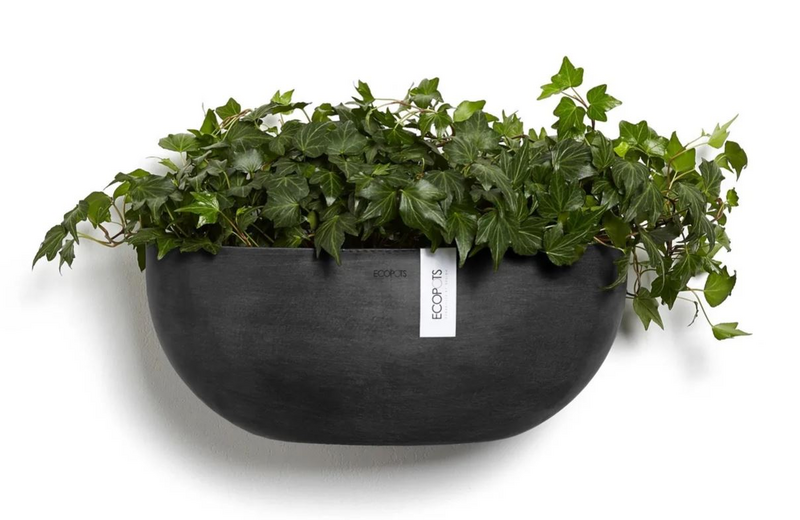 Seinäruukku Ecopots Sofia 43cm tummanharmaa