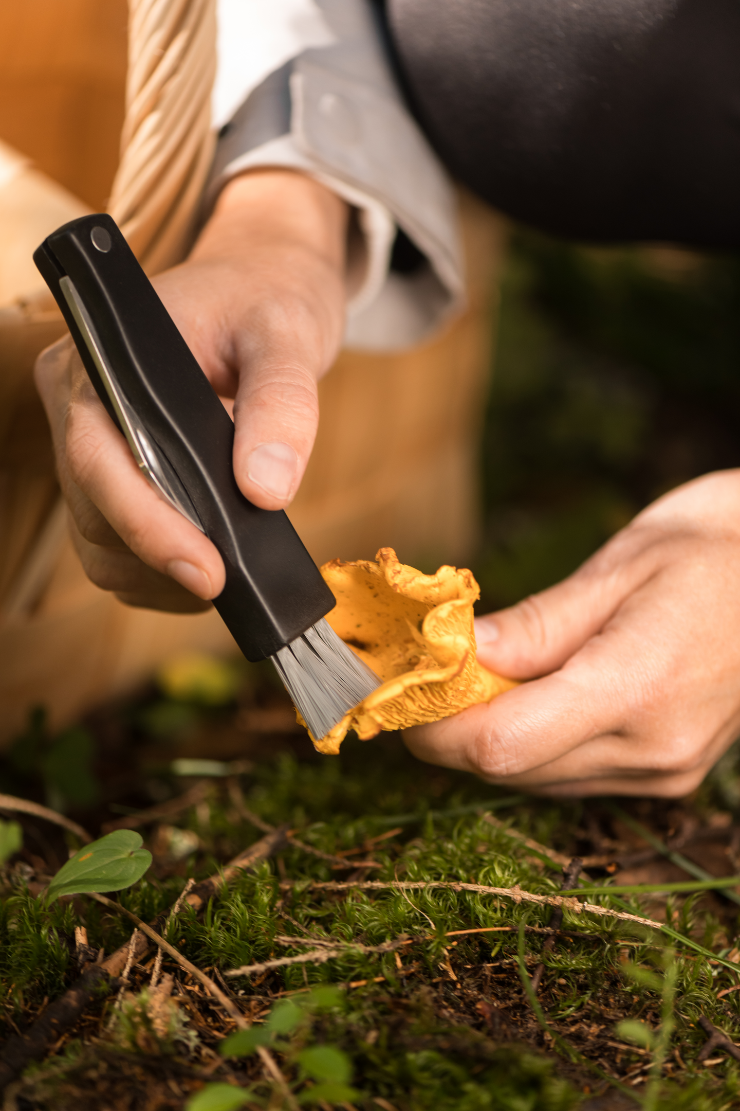 Sieniveitsi Marjukka