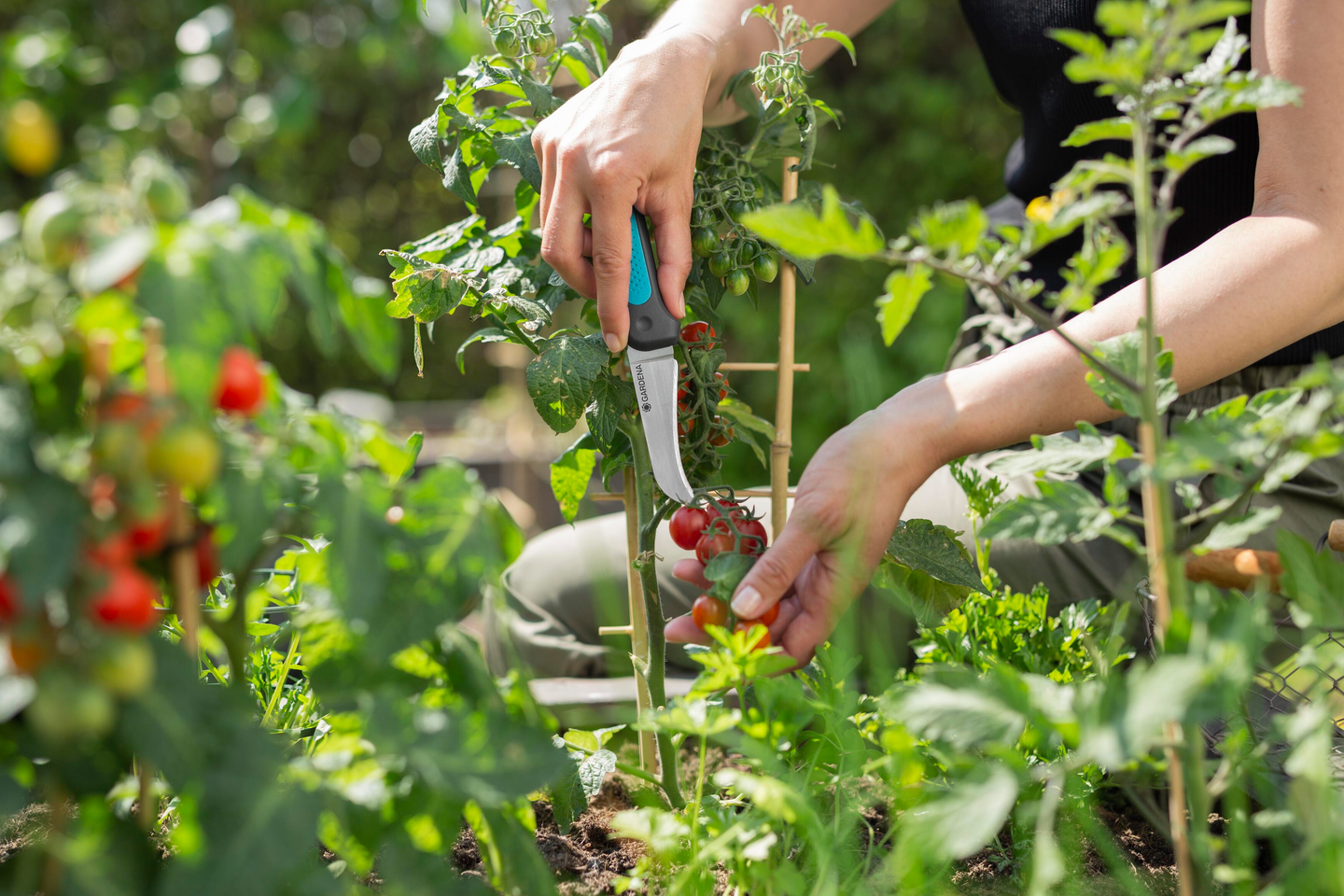 Puutarhaveitsi VeggieCut set Gardena 12211-20