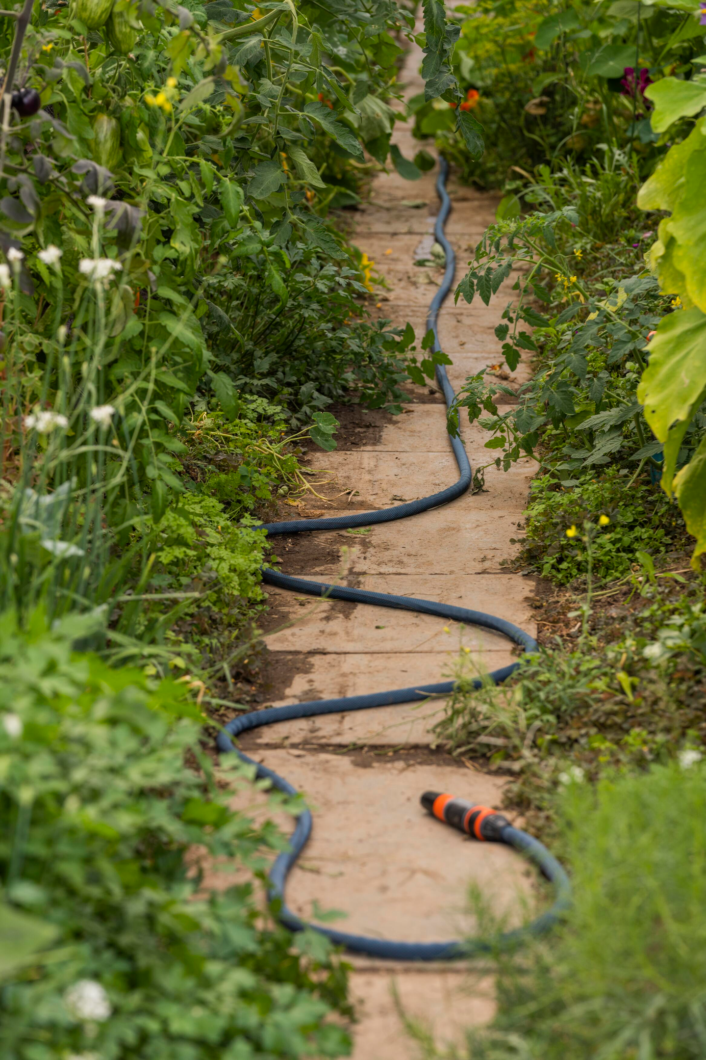 Puutarhaletku Liano Xtreme 30m sarja Gardena 18477-20