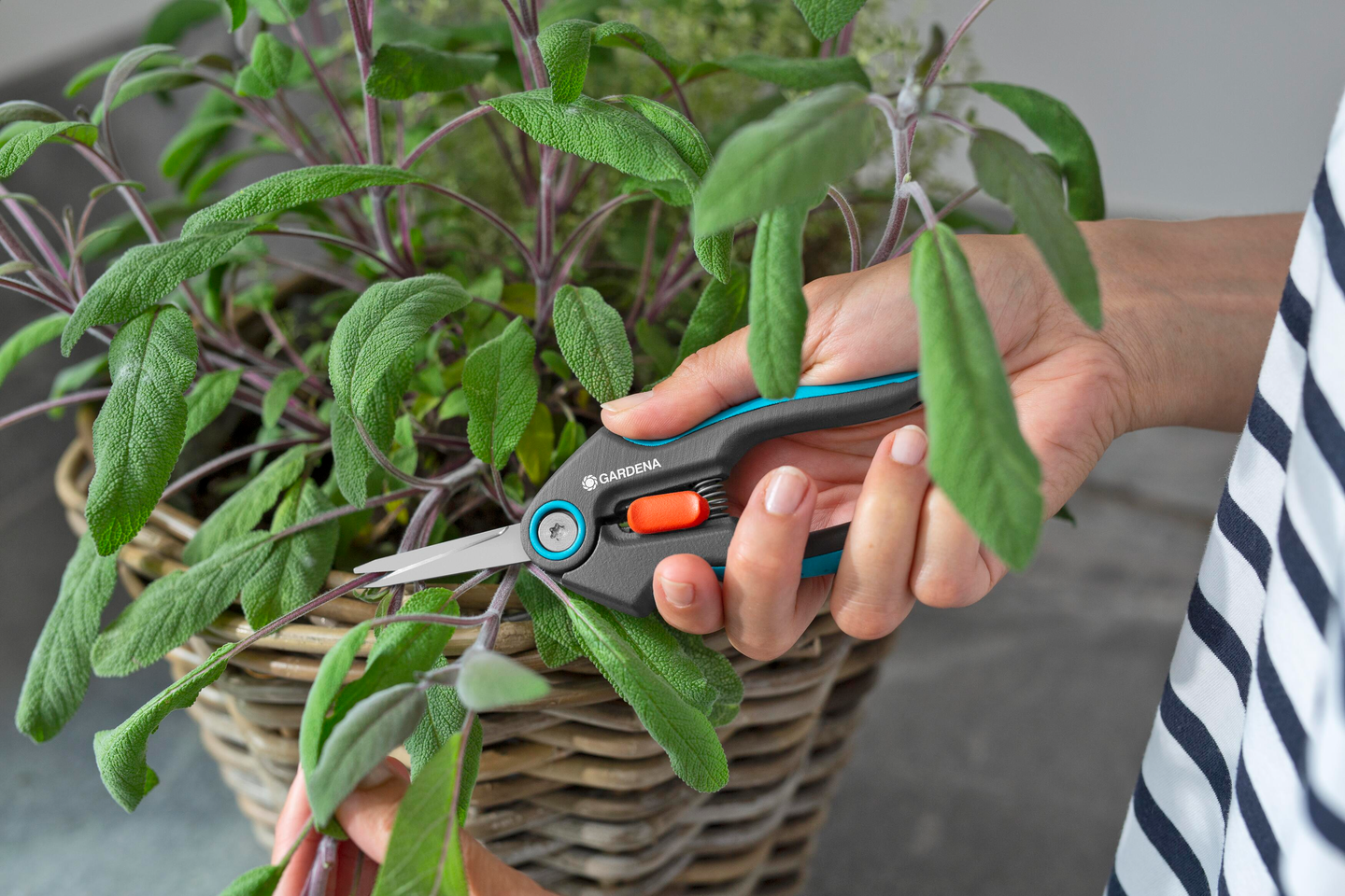 Yrttisakset Gardena FreshCut Display