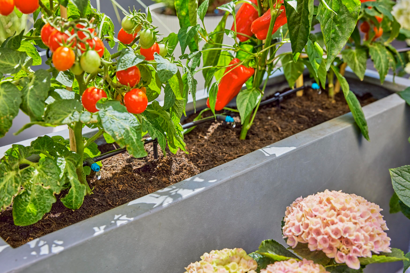 BEVATTNINGSSET GARDENA 13400-20 TERRAS