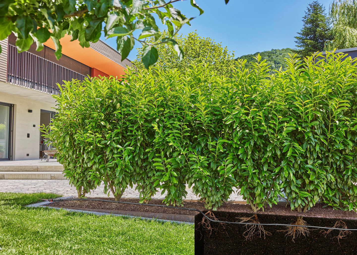 Micro-Drip-laajennussarja Dripline 50m Gardena 13504-20