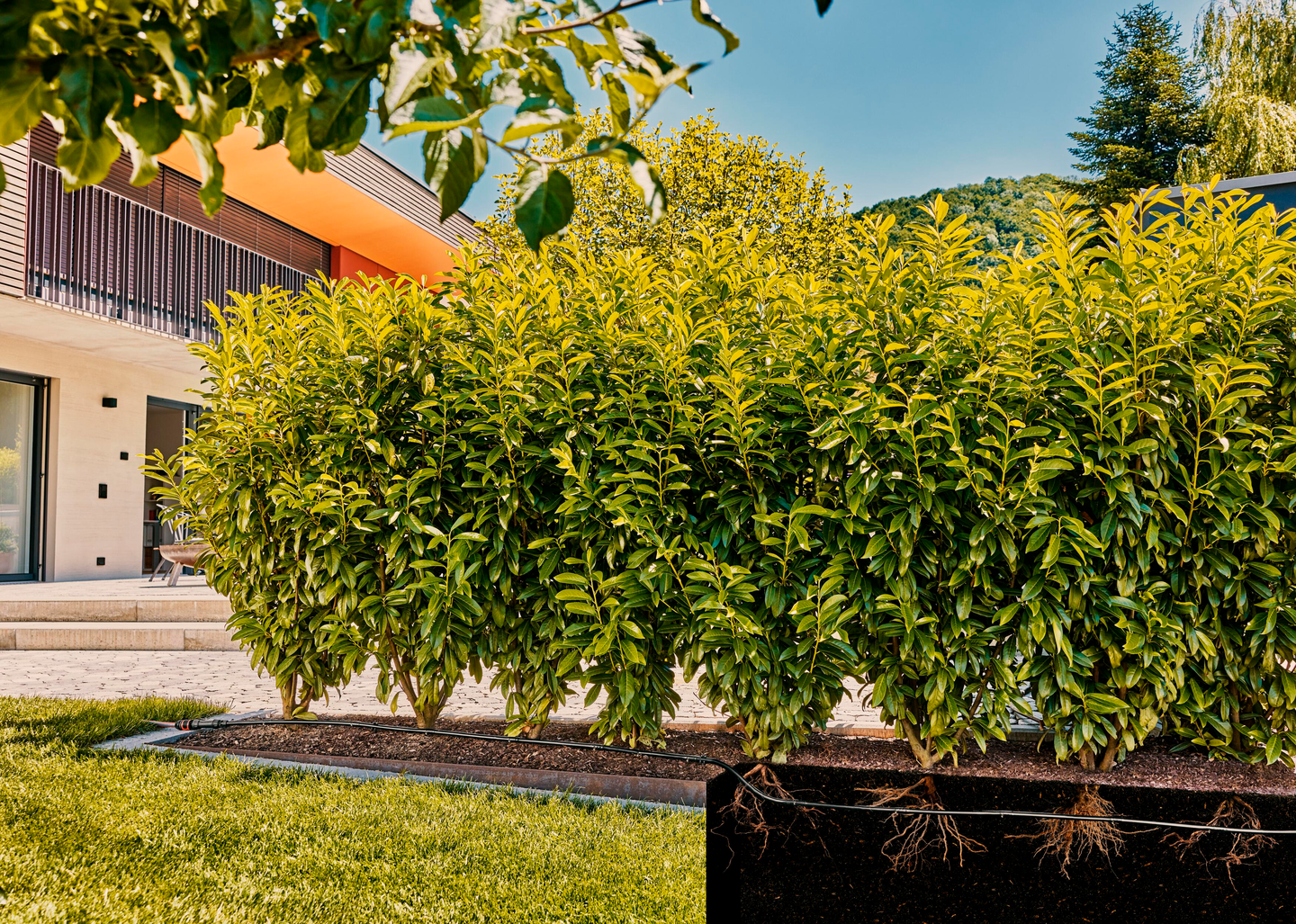 Micro-Drip-laajennussarja Dripline 25m Gardena 13503-20