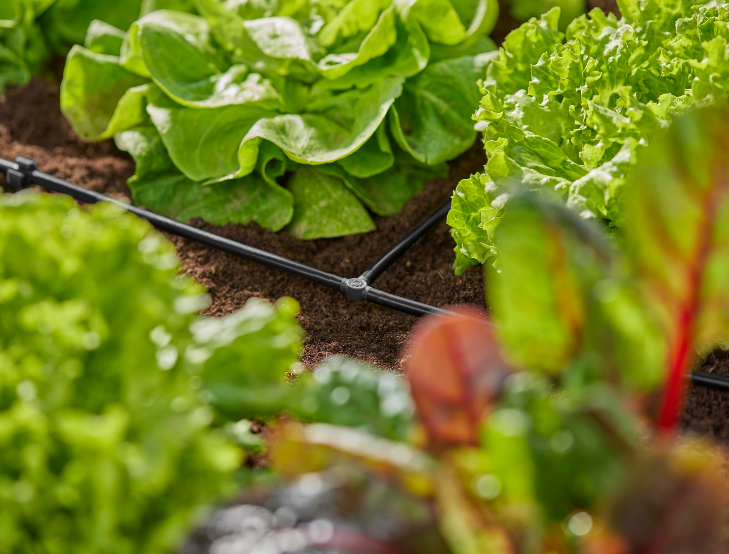 T-liitin 4,6mm Micro-Drip-System Gardena 10kpl 13211-20