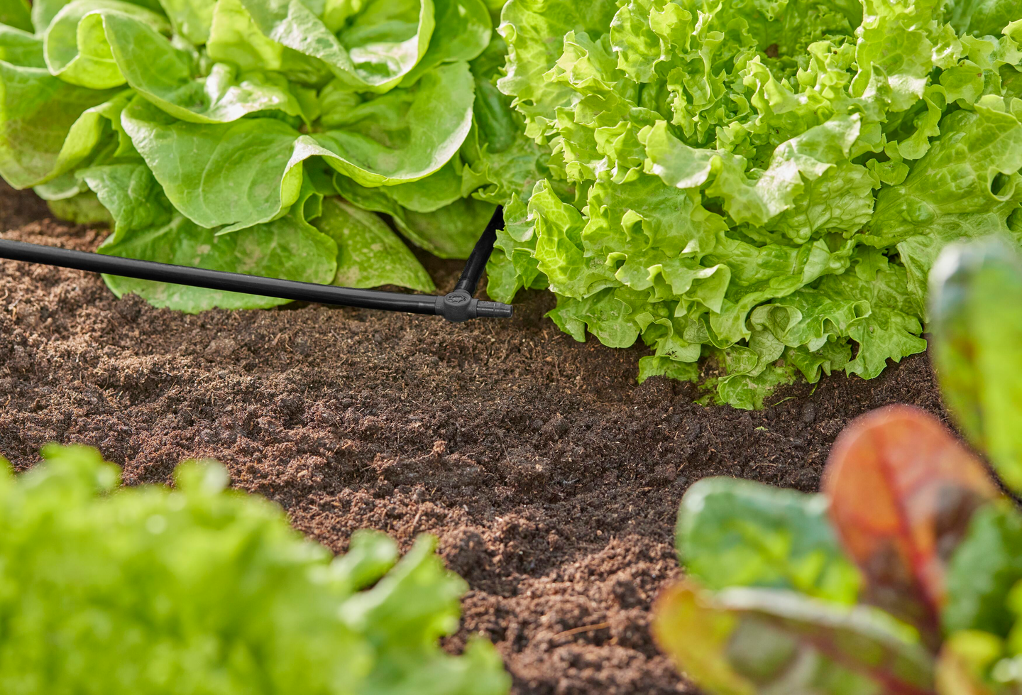 T-liitin 4,6mm Micro-Drip-System Gardena 10kpl 13211-20