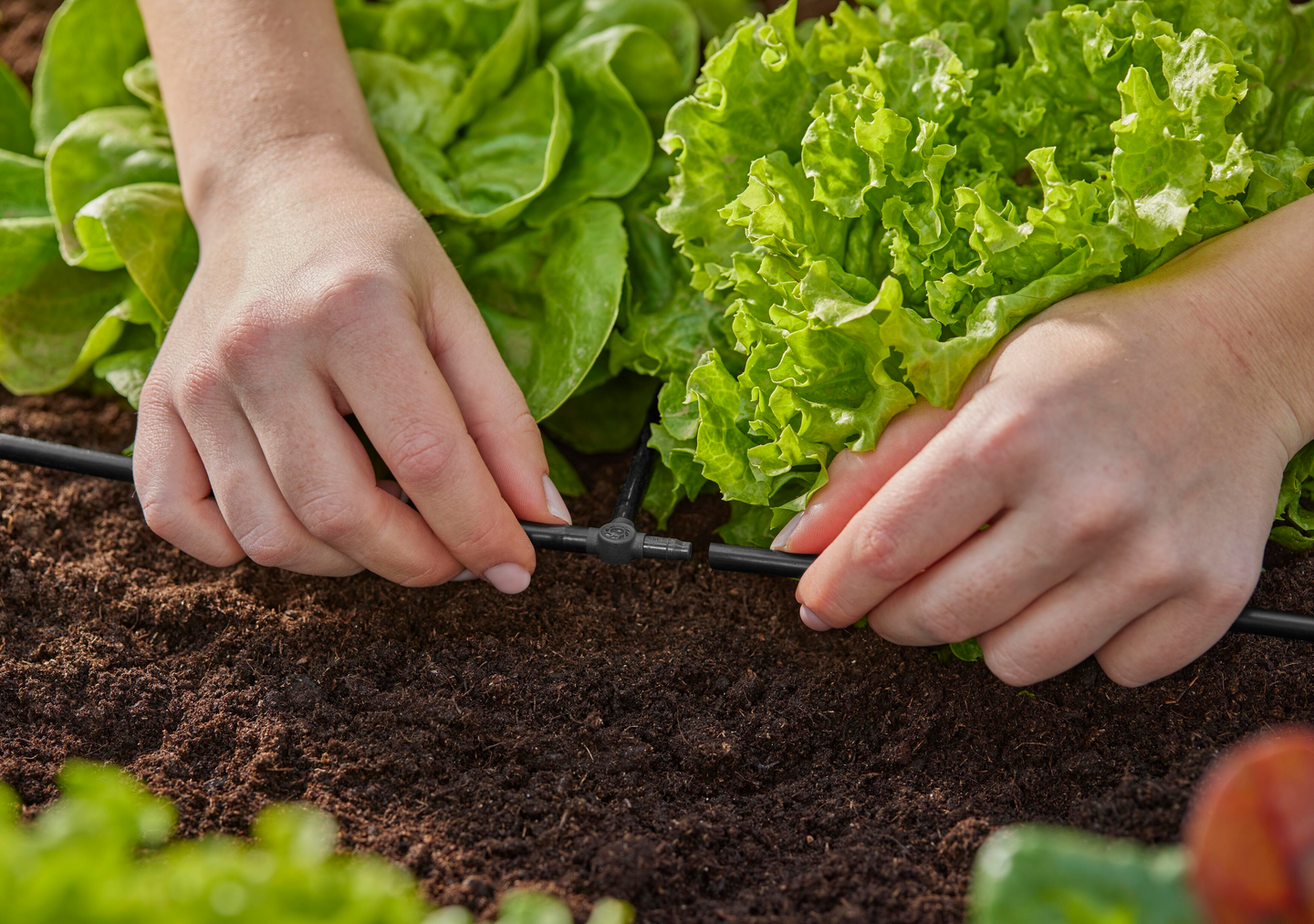 T-liitin 4,6mm Micro-Drip-System Gardena 10kpl 13211-20