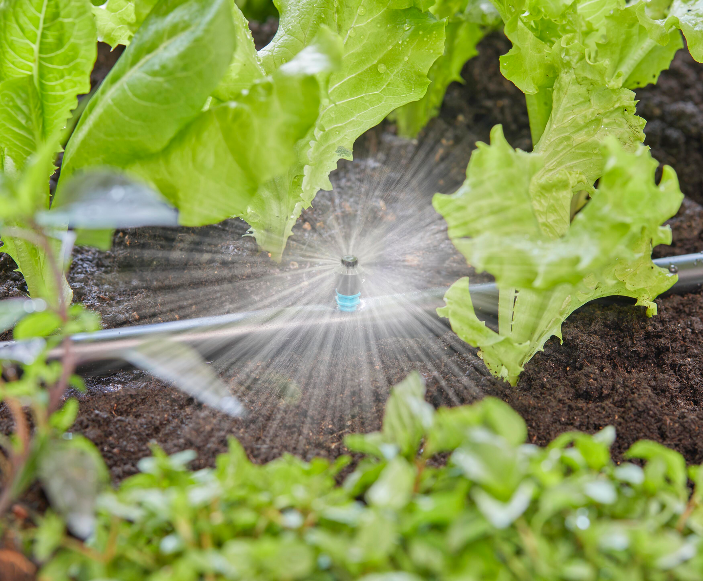 Suihkusuutin 360 Micro-Drip-System Gardena 5kpl 13322-20