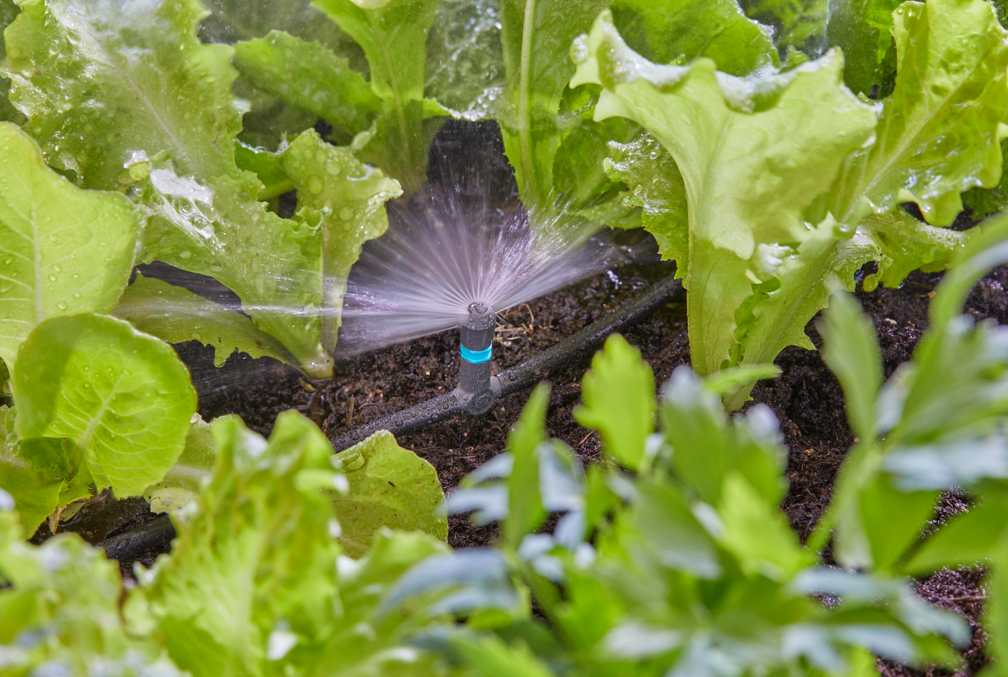 Suihkusuutin 180 Micro-Drip-System Gardena 5kpl 13321-20