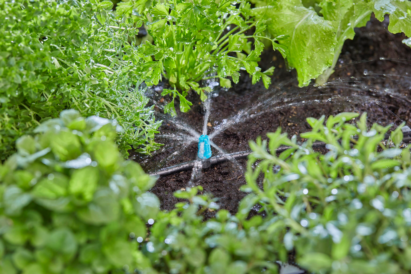 SPRINKLER GARDENA 13306-20 MICRO-DRIP, YTSPRIDARE